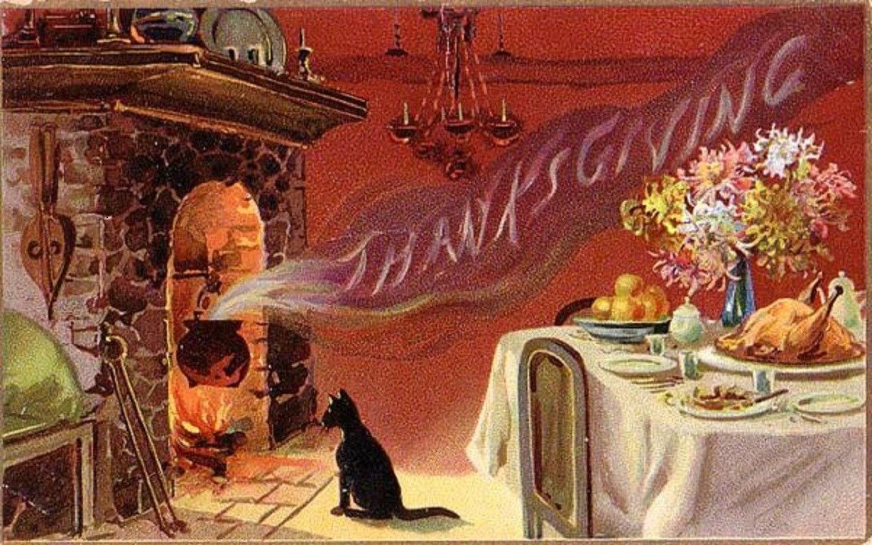 Thanksgiving Cat Wallpaper