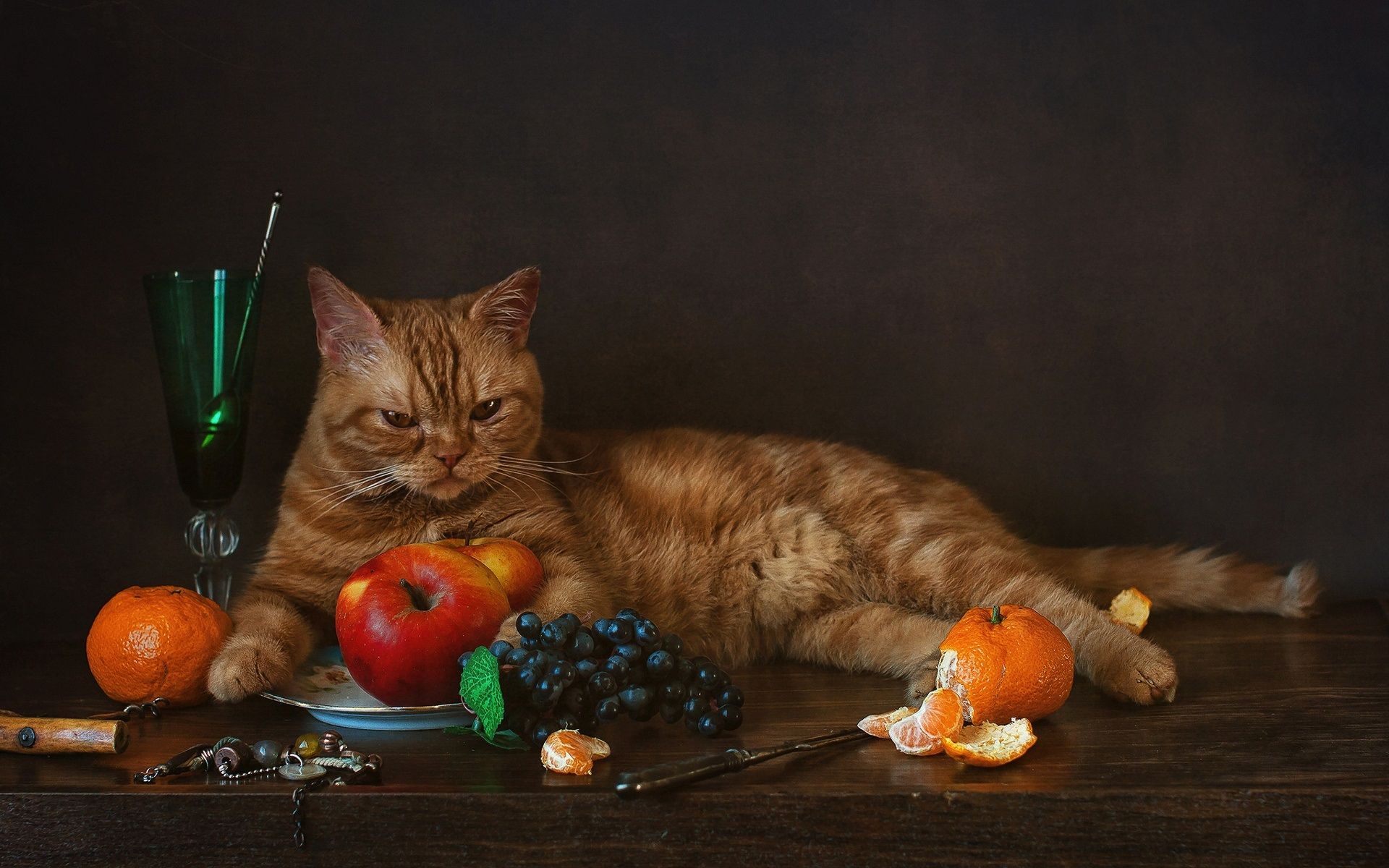 Wallpaper Cat and fruit, grapes, tangerines, apples 1920x1200 HD Picture, Image