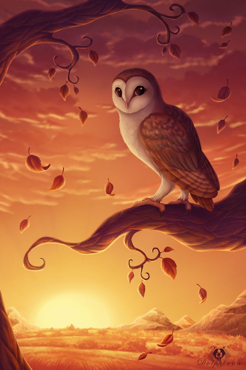 Autumn Owl. Owl artwork, Owl image, Owl wallpaper