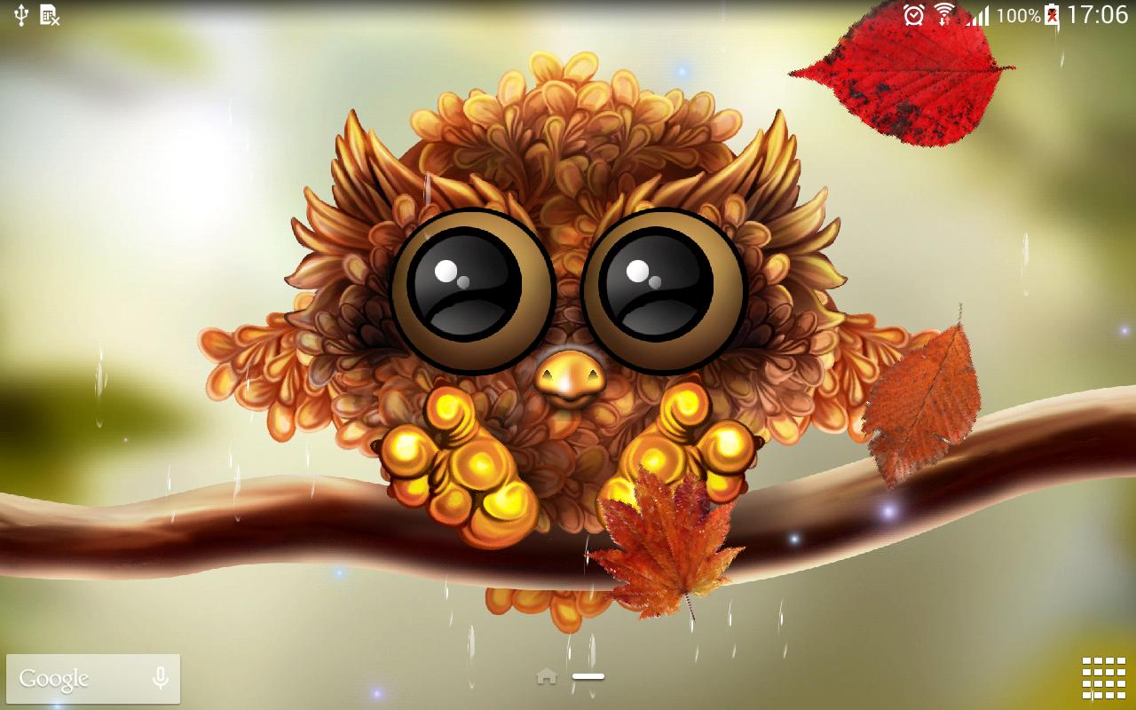 Autumn Little Owl Wallpaper for Android