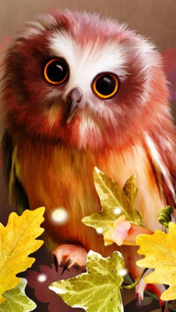 Fall owl wallpaper