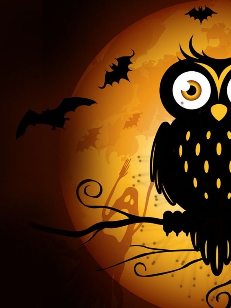 Free download 65 Autumn Owl Wallpaper Download [1920x1080] for your Desktop, Mobile & Tablet. Explore Halloween Owl Wallpaper. Halloween Owl Wallpaper, Owl Wallpaper, Owl Wallpaper