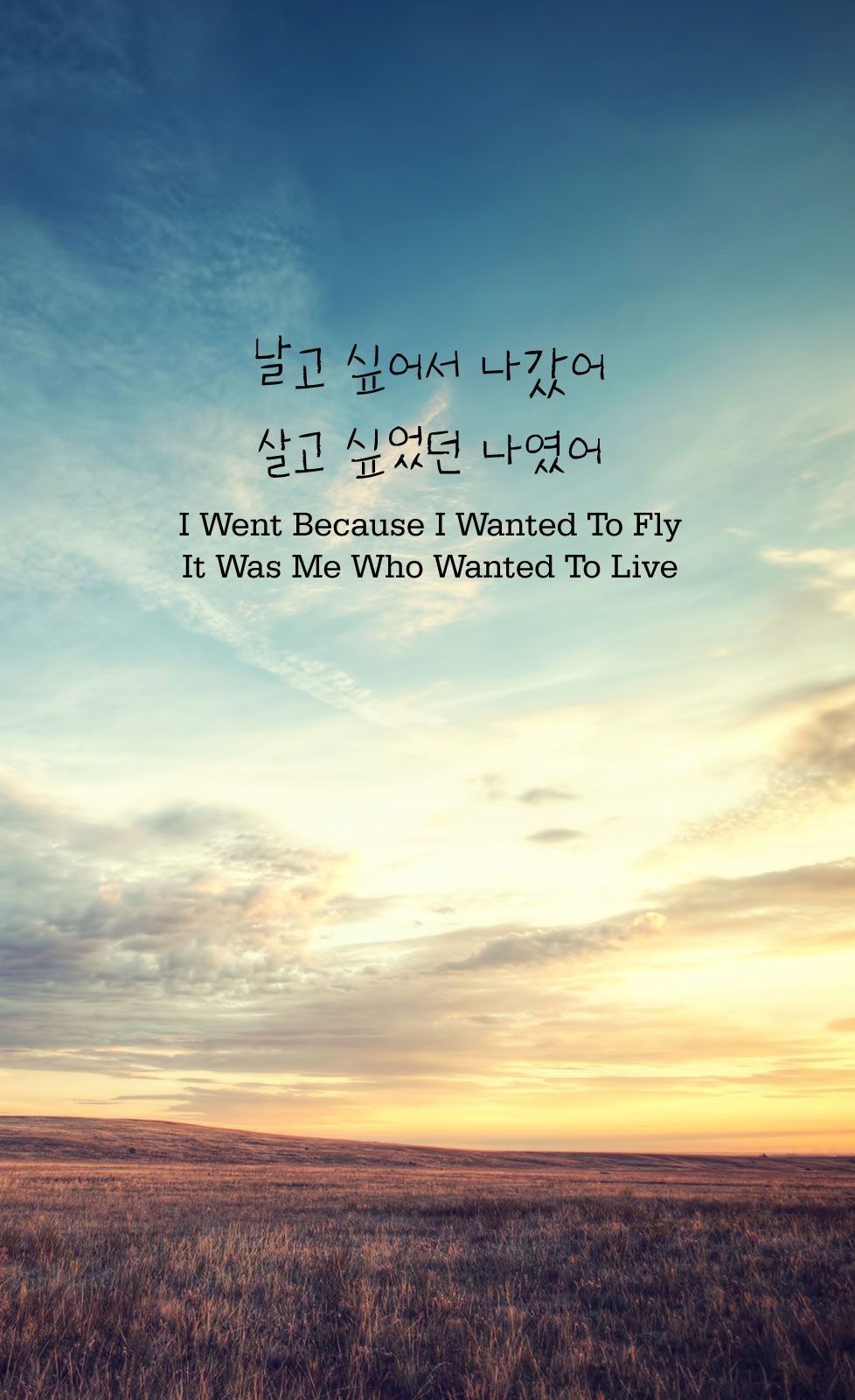 Maybe I, I could never fly. Korean quotes, Korea quotes, Korean phrases