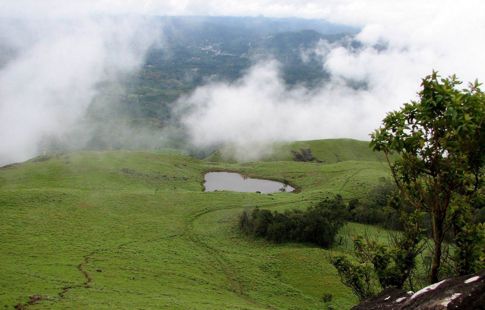 WELGREEN KERALA HOLIDAYS WAYANAD Wayanad is a. Welgreen Kerala Holidays