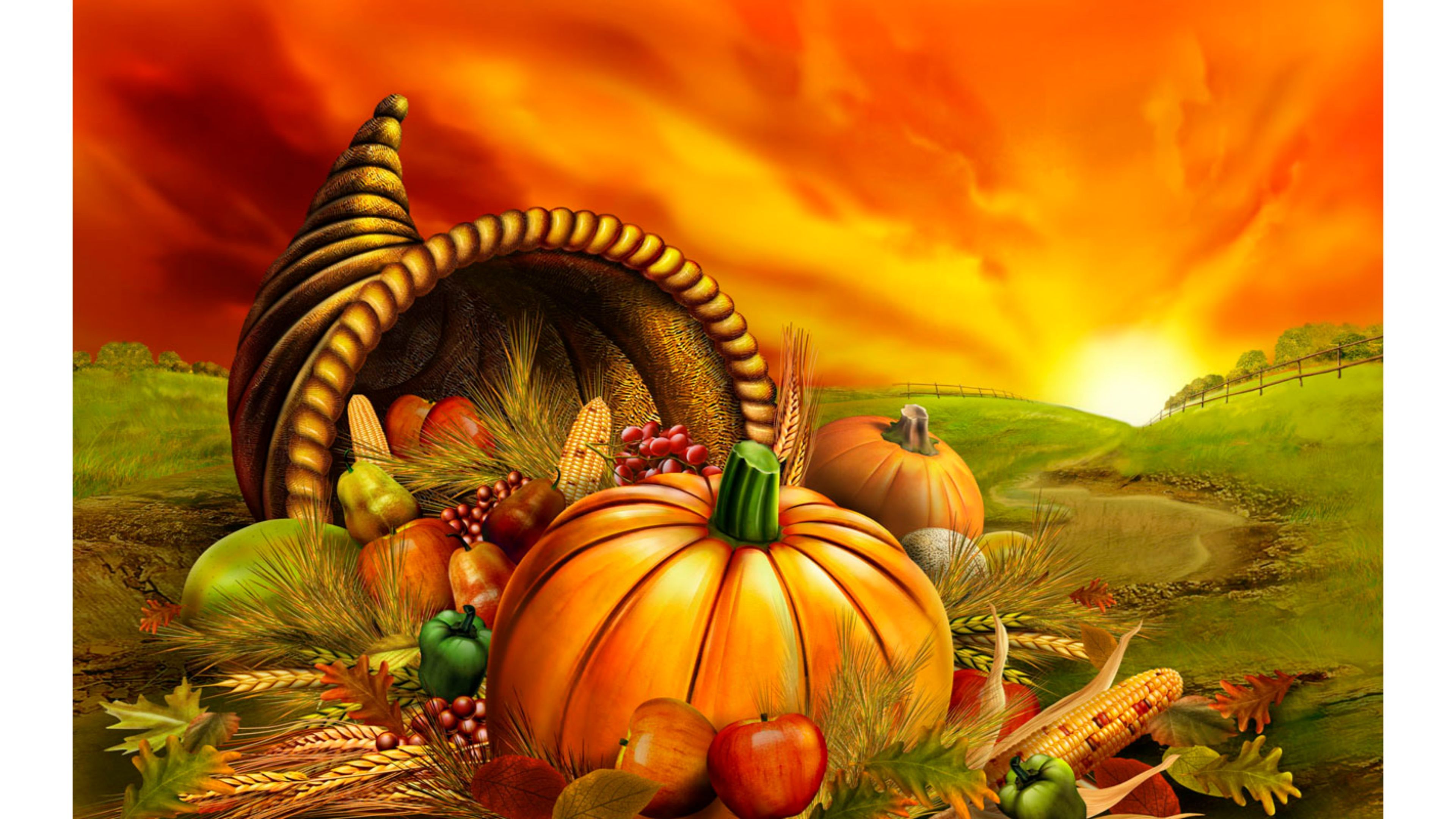 Thanksgiving 4K wallpaper for your desktop or mobile screen free and easy to download