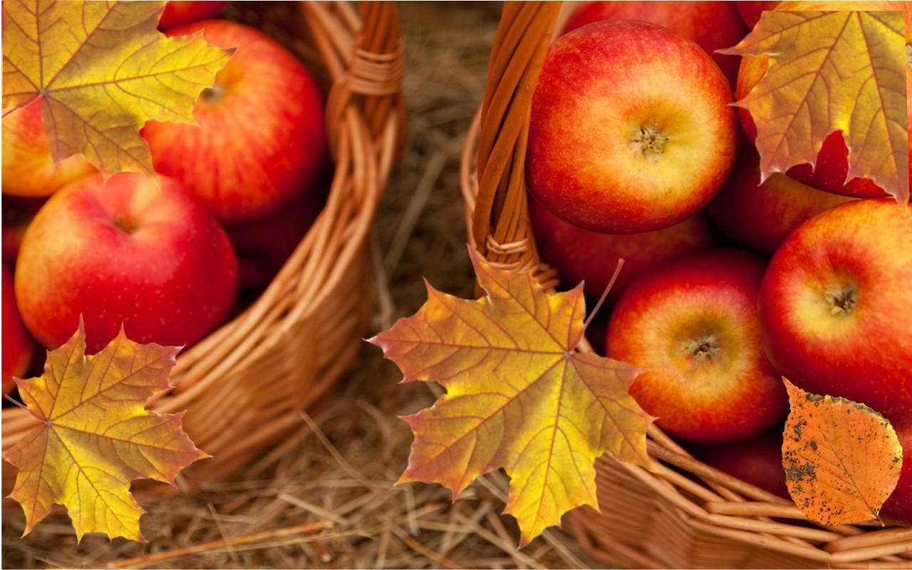 Apples Autumn live wallpaper for Android