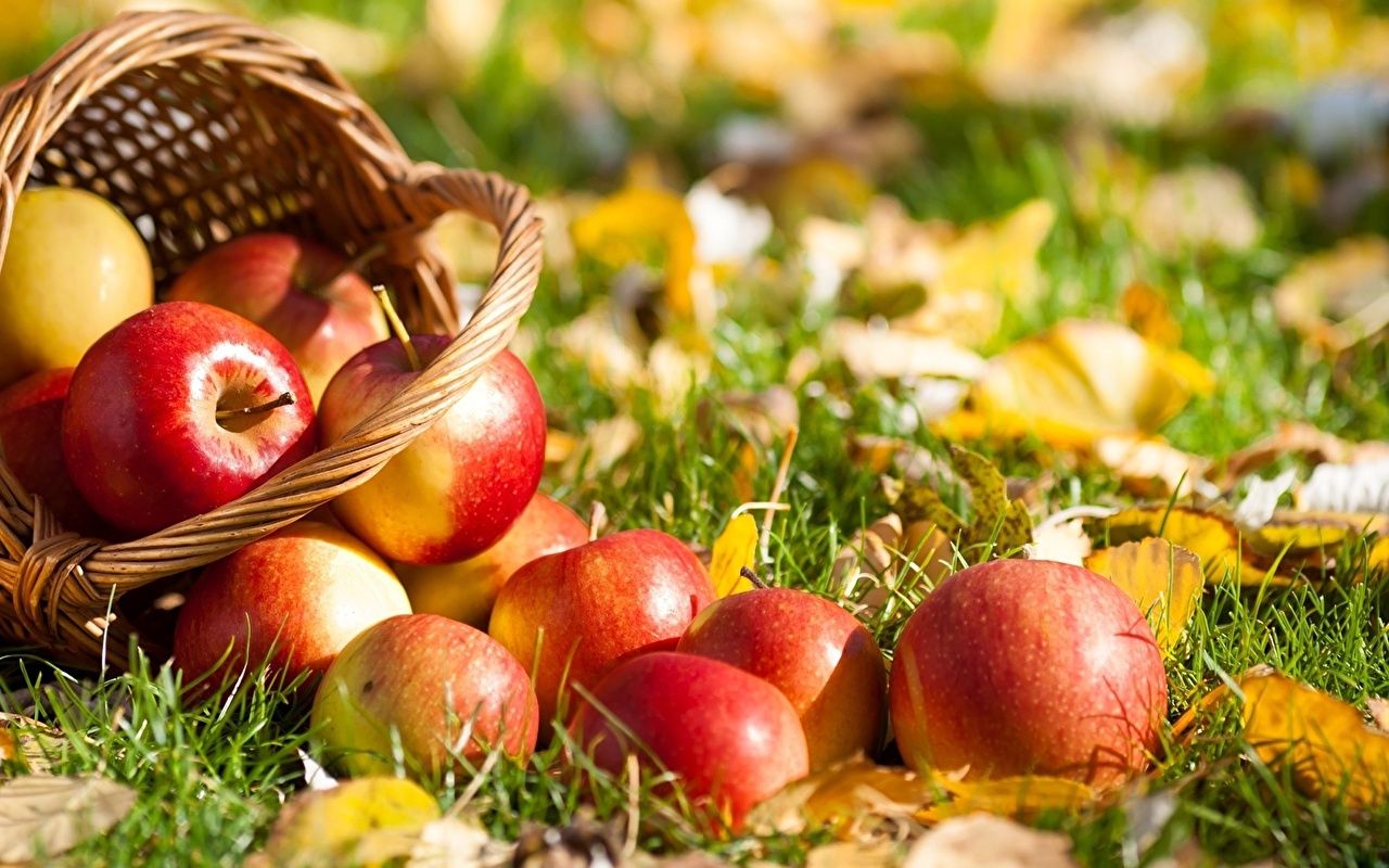 Desktop Wallpaper Autumn Apples Wicker basket Food Closeup