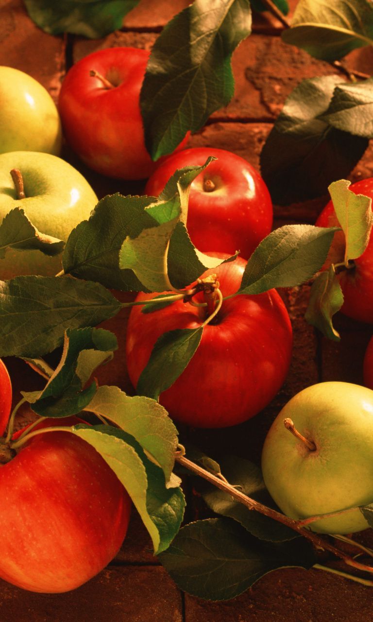 Fresh Autumn Apples Mobile Wallpaper for 768x1280. Fruit, Fall apples, Fruit art