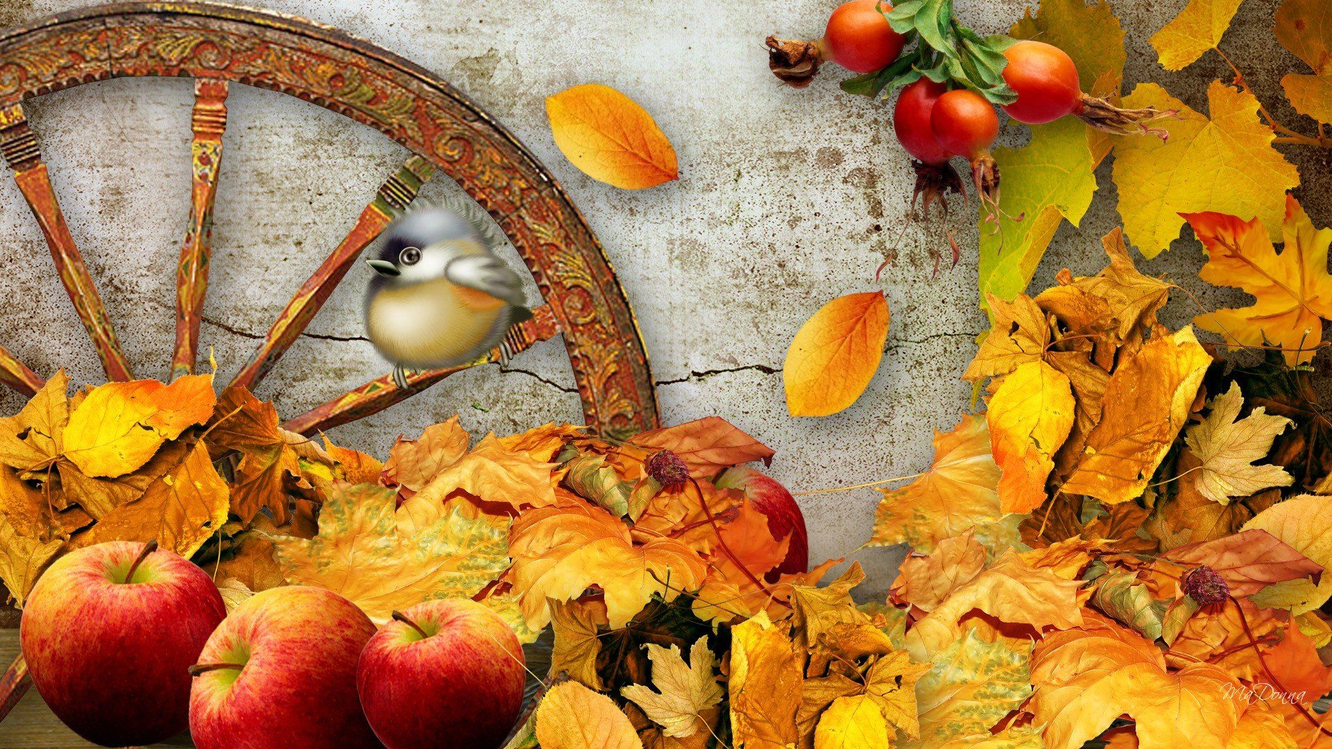 autumn, Fall, Landscape, Nature, Tree, Forest, Leaf, Leaves, Thanksgiving, Apple, Fruit Wallpaper HD / Desktop and Mobile Background