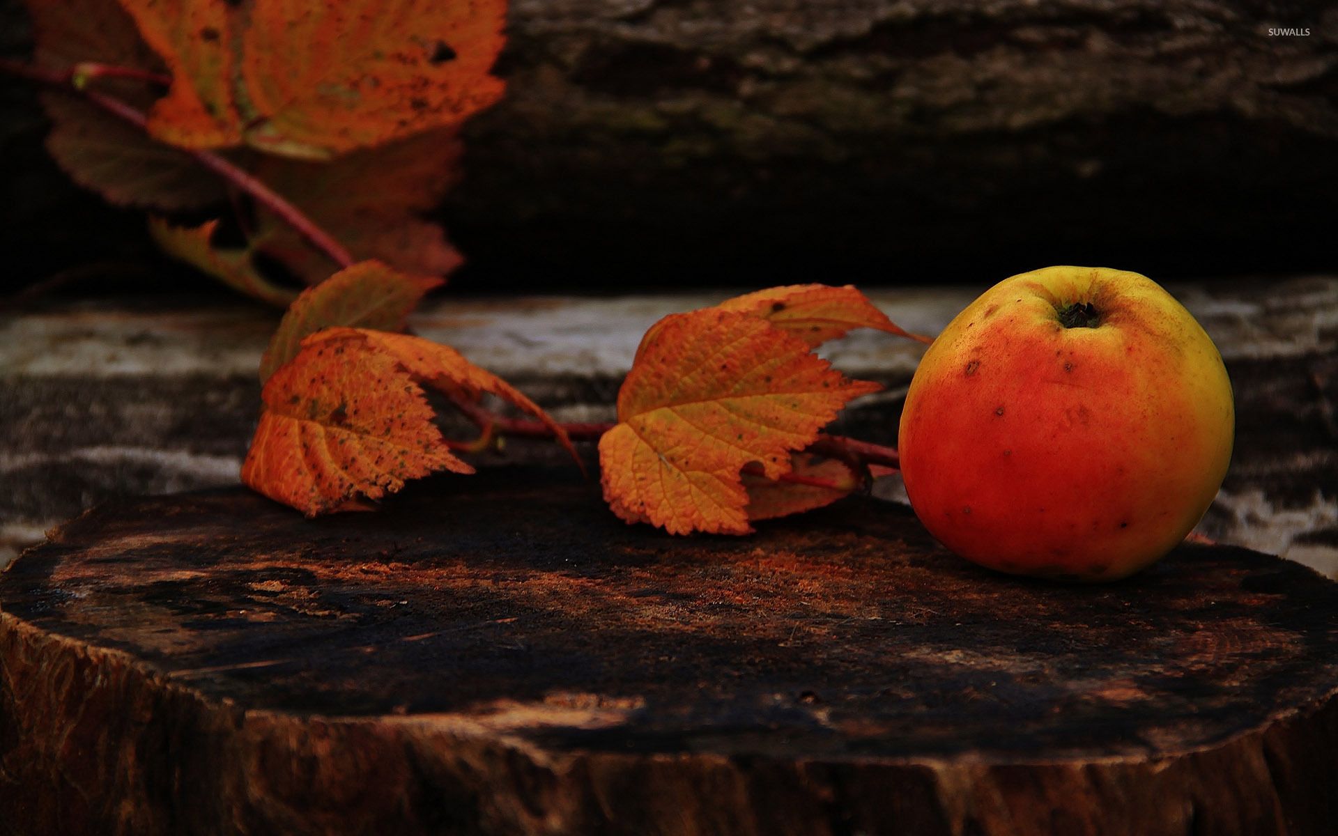 Autumn leaves and an apple on a tree trunk wallpaper wallpaper