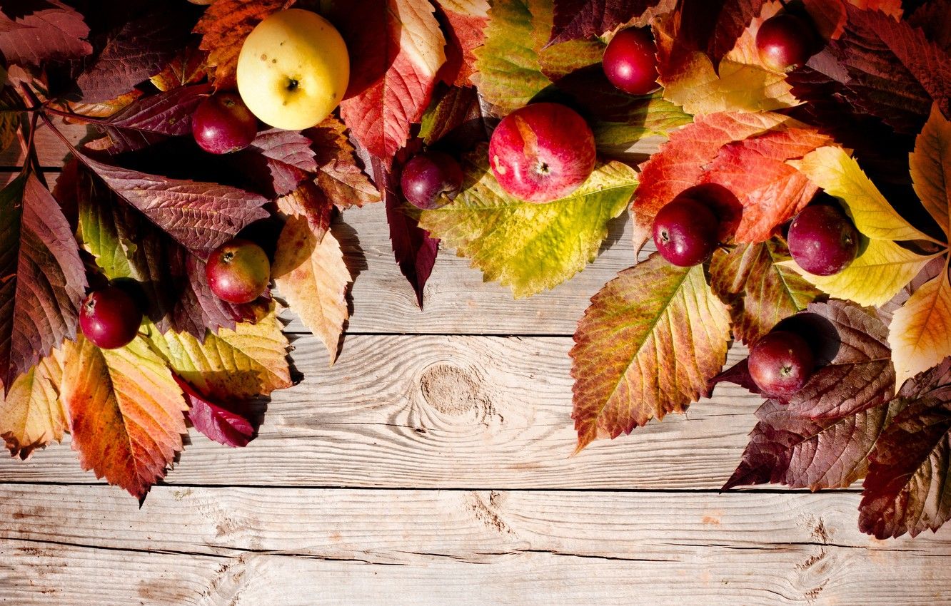 Wallpaper autumn, leaves, apples, autumn, leaves, apples image for desktop, section еда