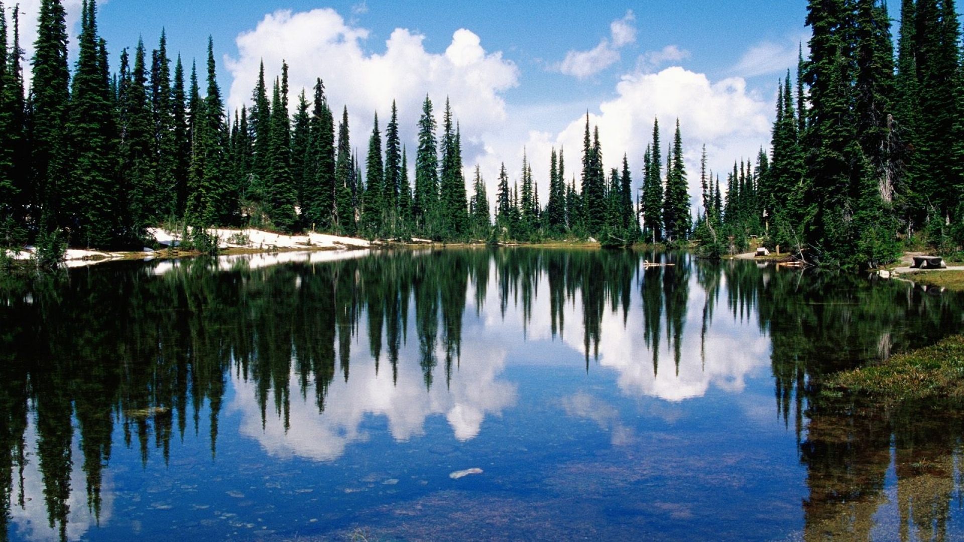 Wallpaper canada, lake, coast, trees, coniferous, water, transparent, reflection. British columbia, Canada, Columbia