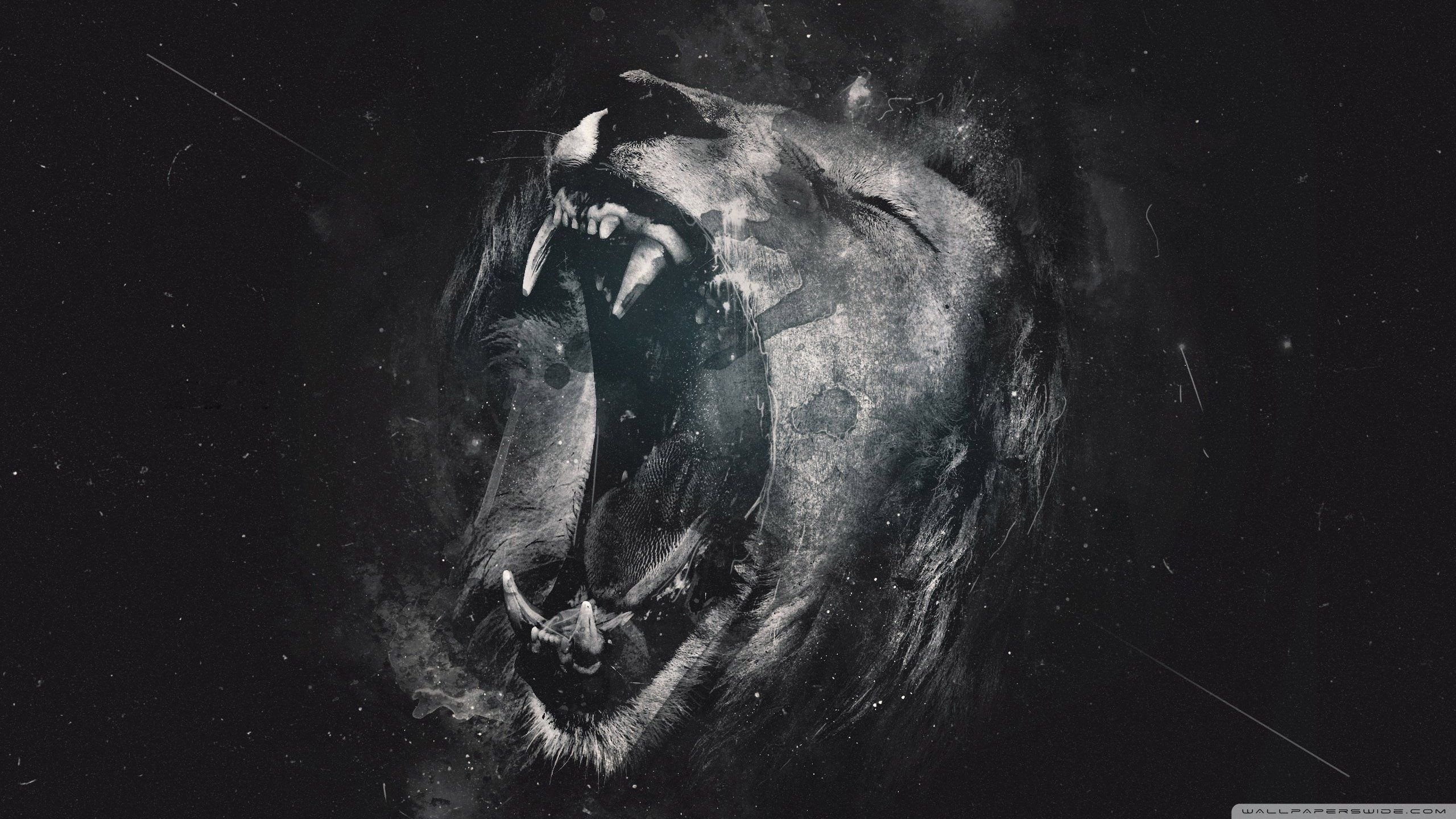 Roar 3 Wallpaper 2560x1440 Wallpaperx1440