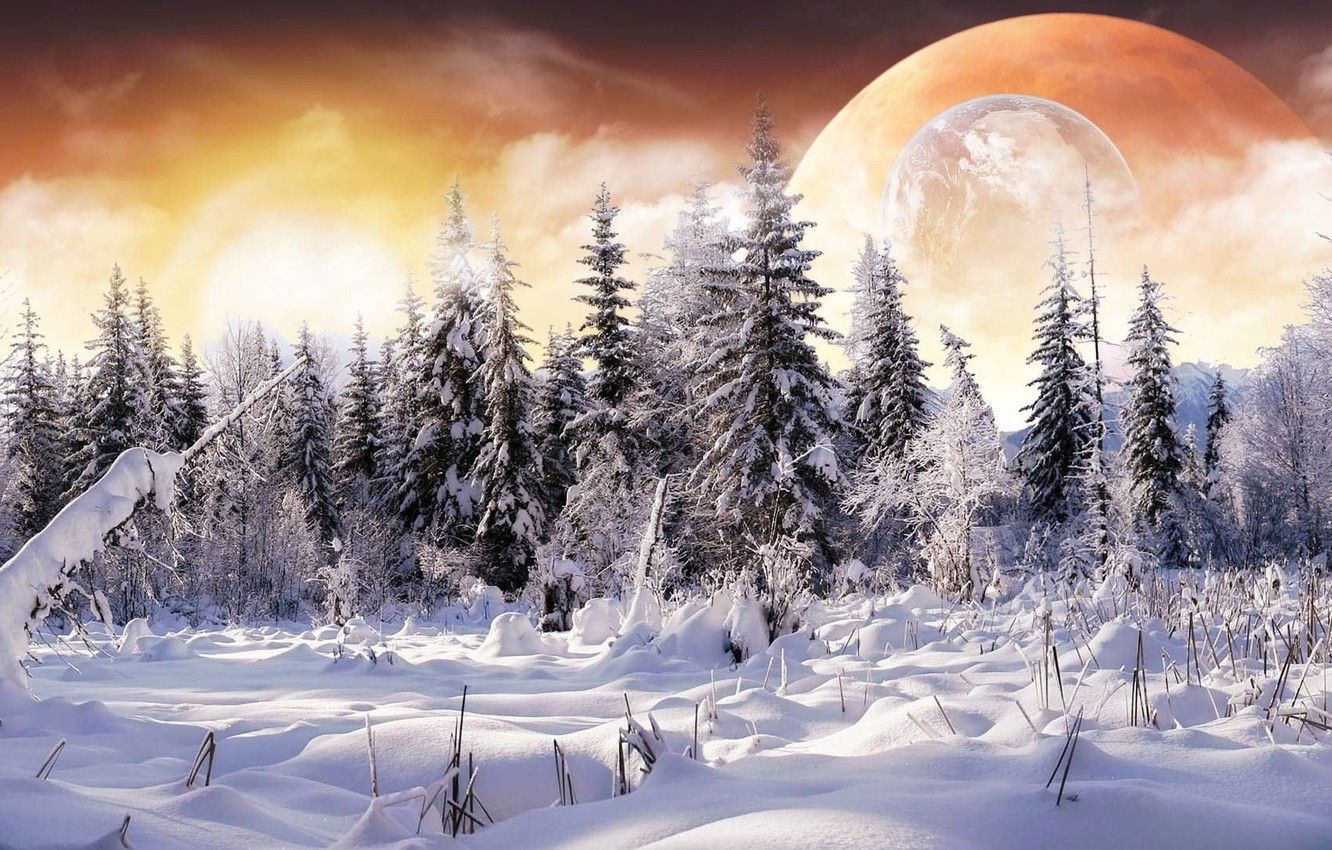 Wallpaper winter, forest, snow, collage, planet image for desktop, section фантастика