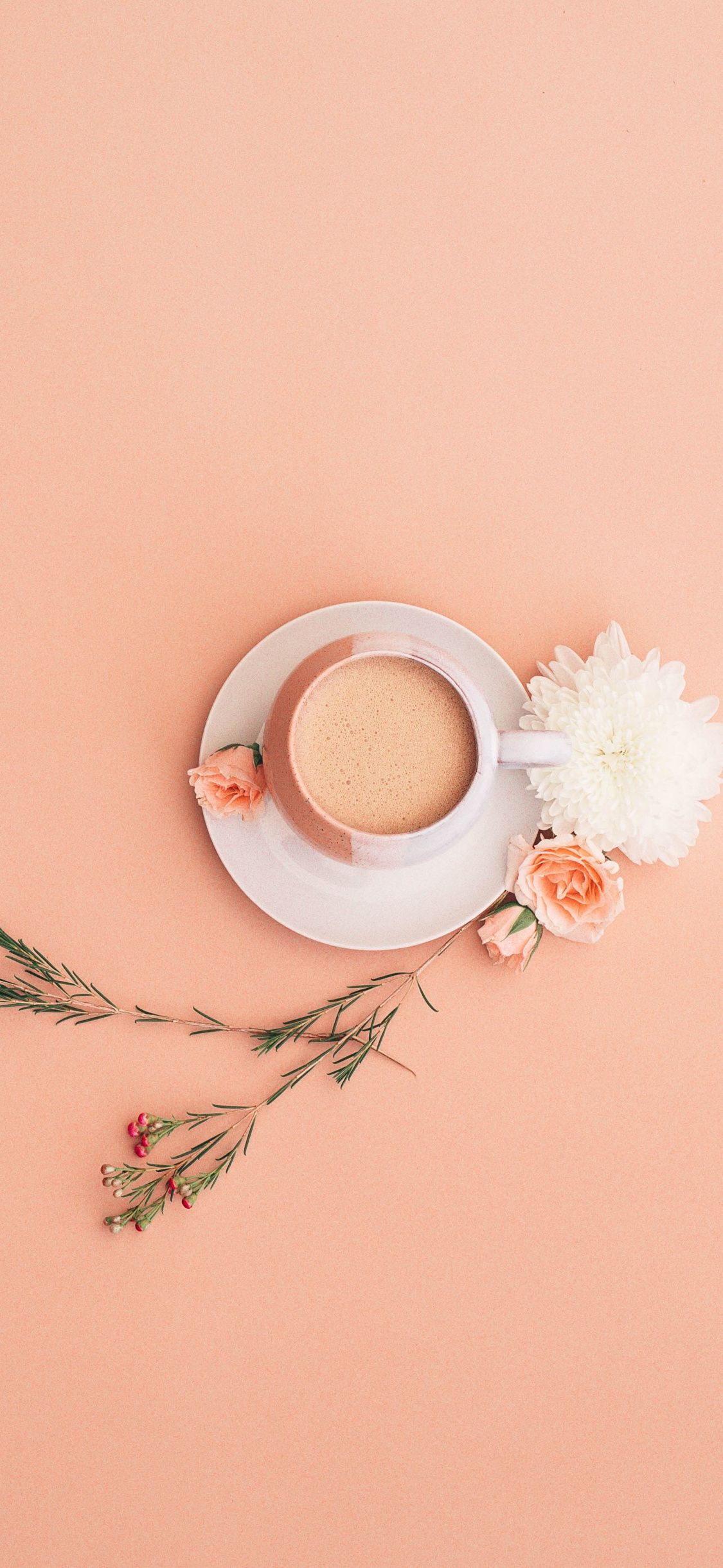 Minimal, Cup, Flowers, Wallpaper iPhone X Wallpaper HD