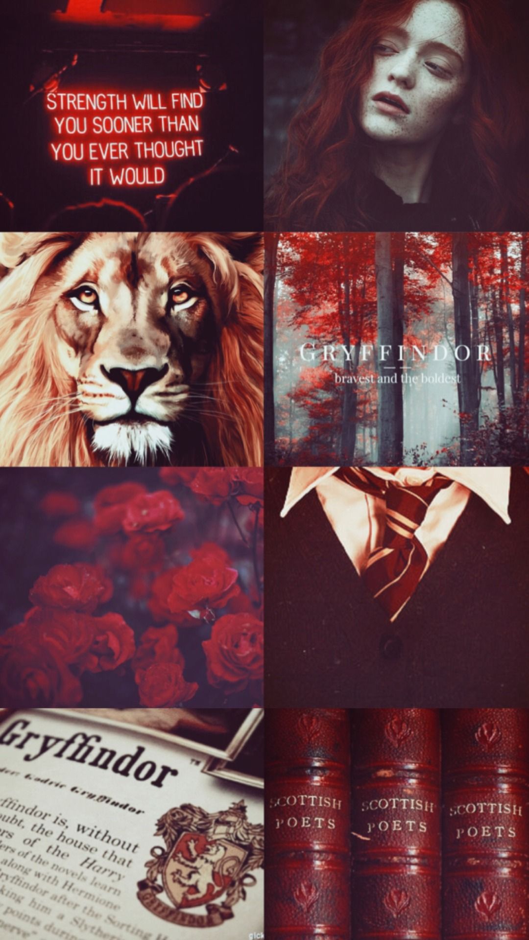 Gryffindor Aesthetic Wallpapers - Wallpaper Cave