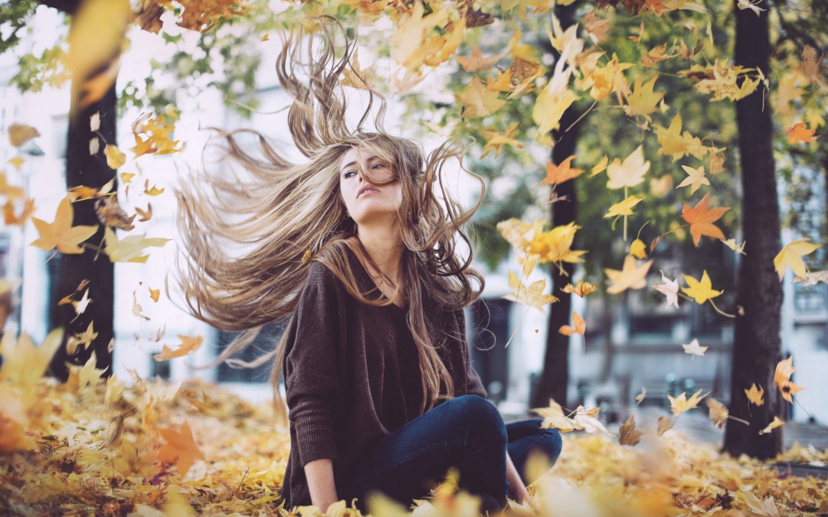 Girl Blonde Autumn Foliage Wind