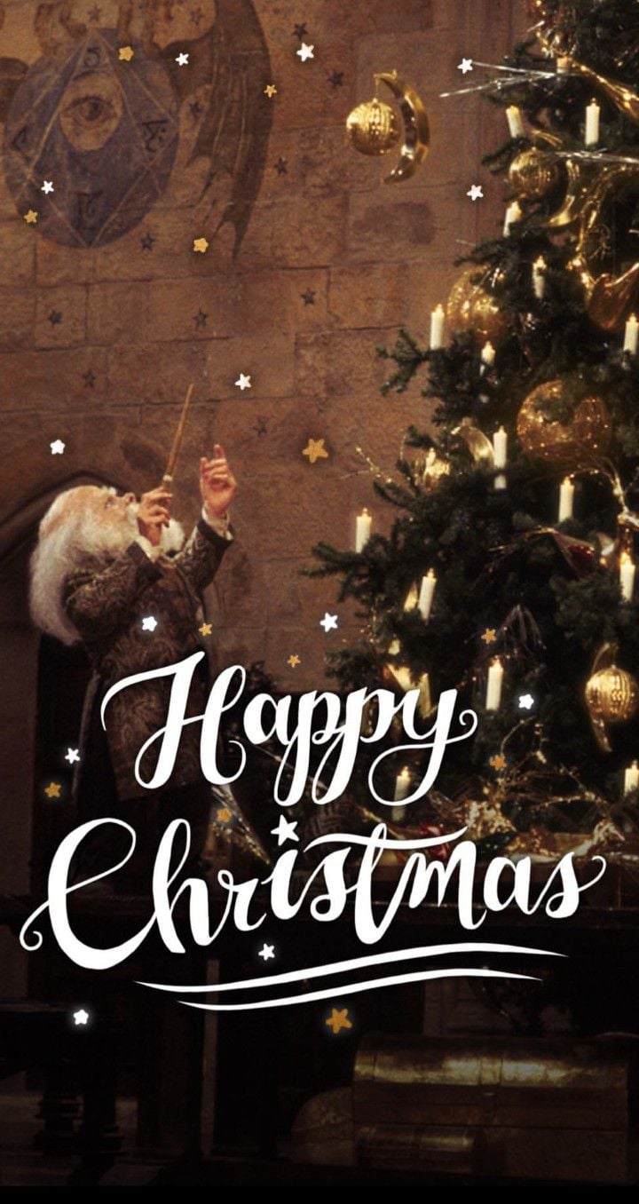 Harry potter Christmas winter aesthetic | Harry potter christmas, Hogwarts  christmas, Harry potter wallpaper