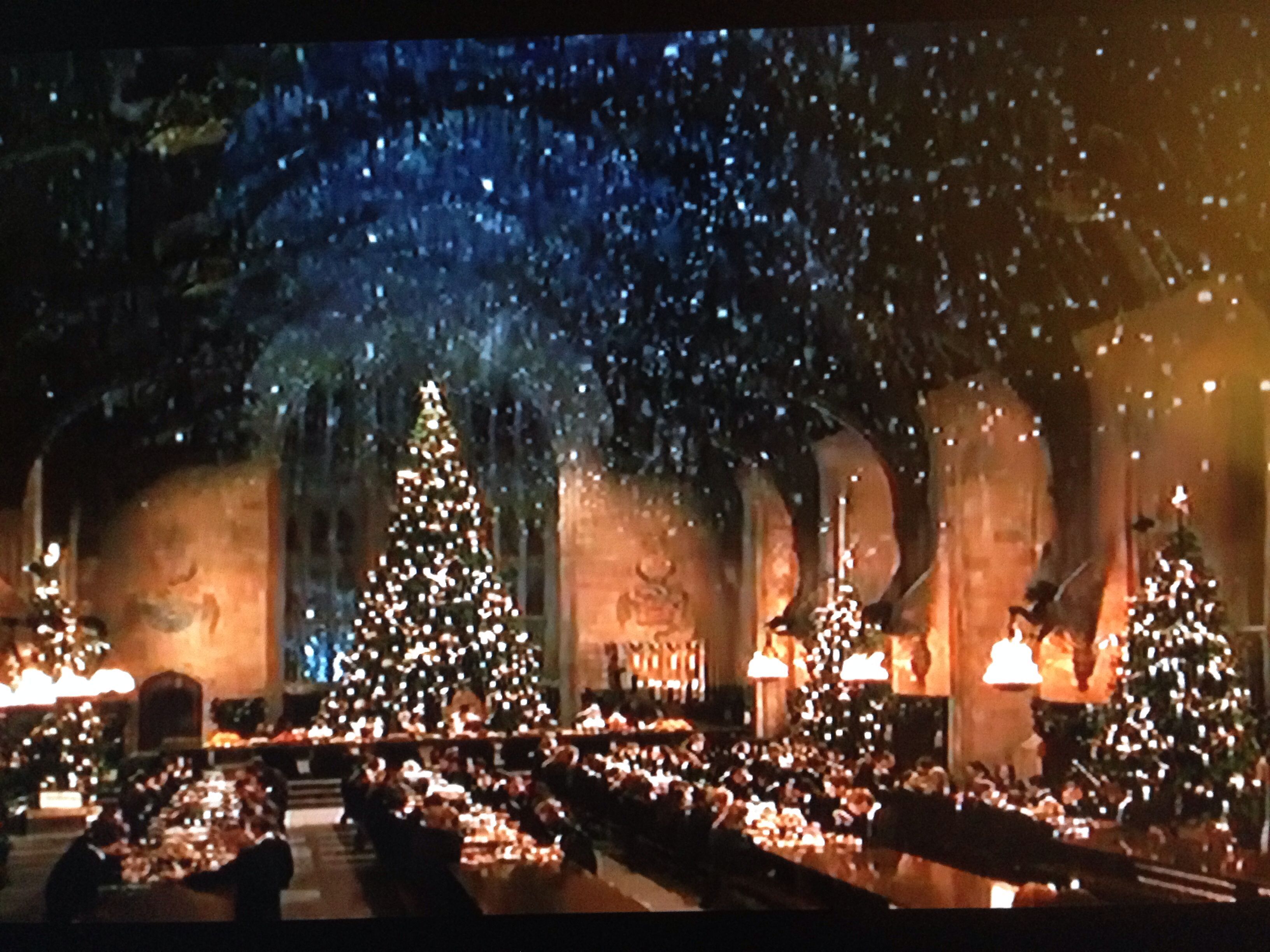 Christmas in the Great Hall. Harry potter, Harry, Fantasias