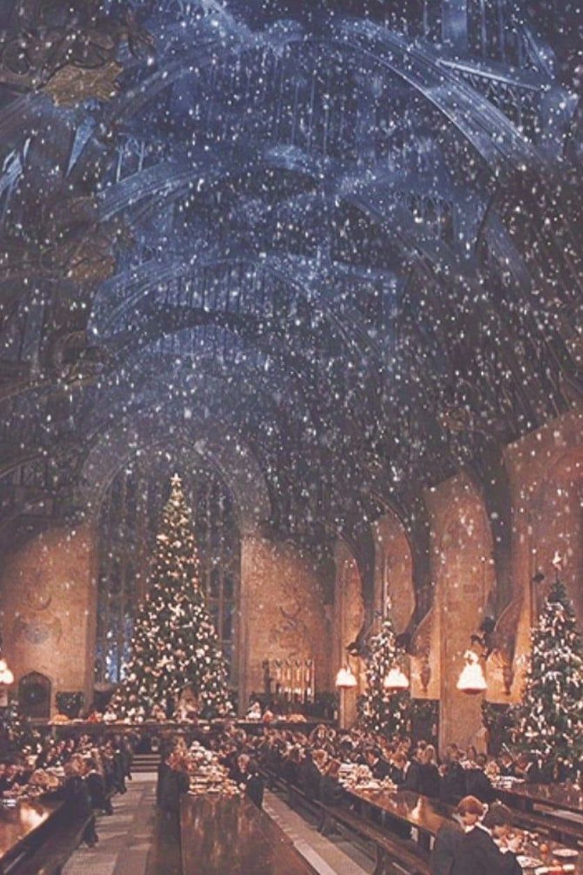 Harry Potter Christmas Wallpaper HD Wallpaper