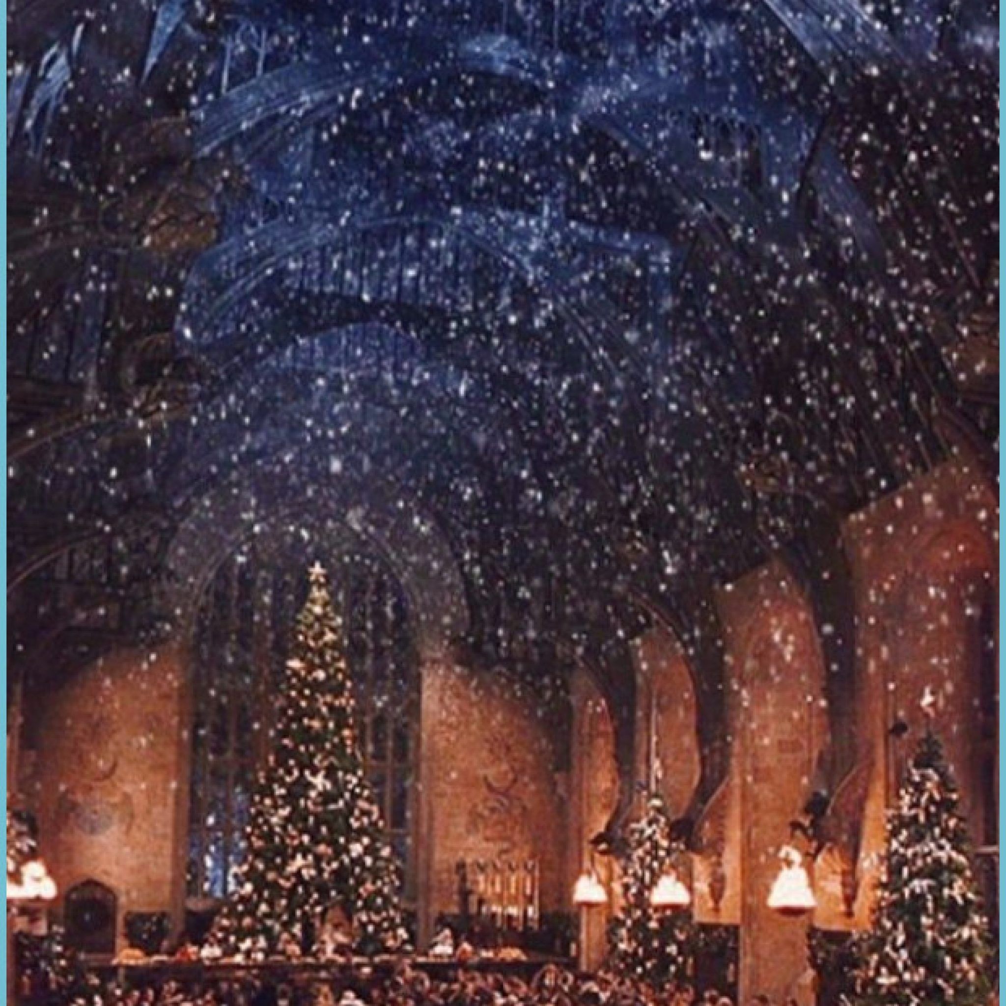 Note, Harry Potter fans: There will be a Christmas dinner inside potter christmas wallpaper