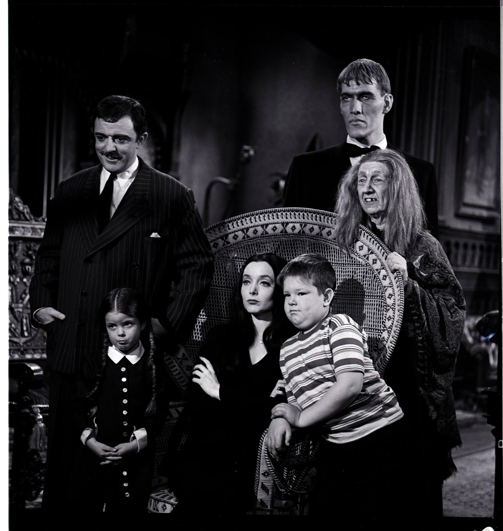 Morticia Addams Wallpapers Wallpaper Cave