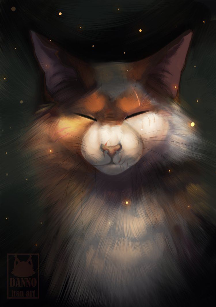 Mapleshade. Warrior cats fan art, Warrior cats art, Warrior cats series