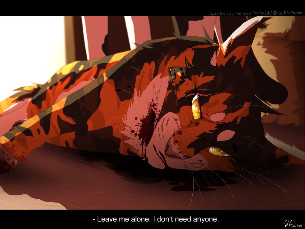 Mapleshade Art Villains That Live In My Head 639896016. Warrior Cats Fan Art, Warrior Cats Comics, Warrior Cats Books