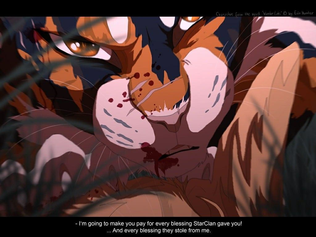 Mapleshade attacking Sandstorm in the Dark forest battle. Warrior cats books, Warrior cats, Warrior cats fan art