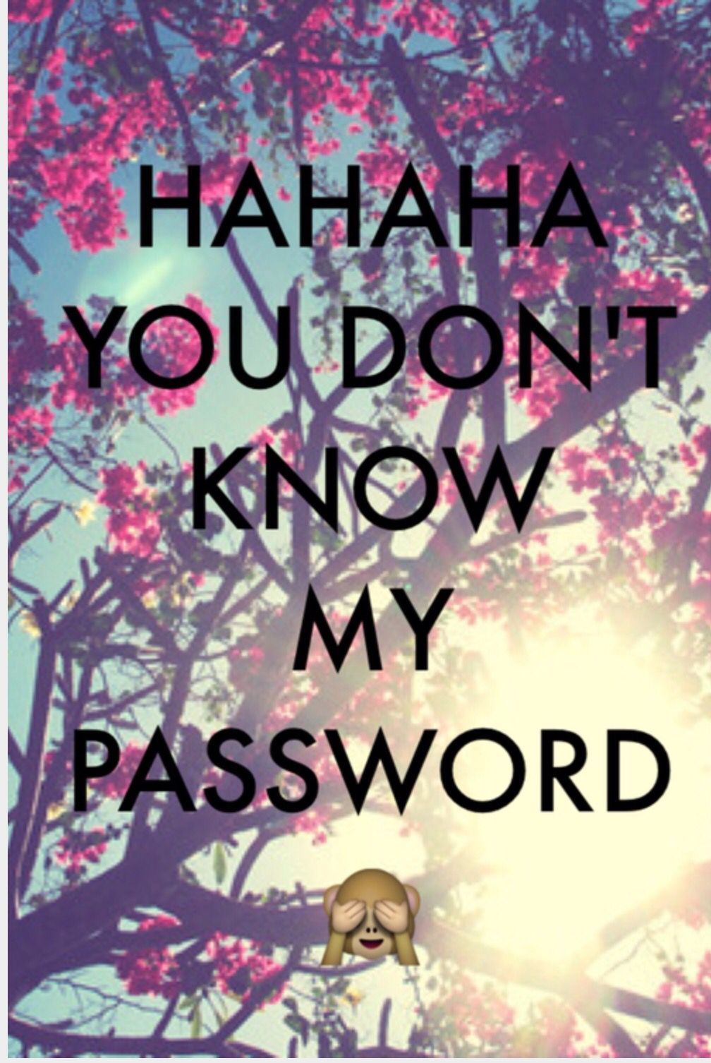 HAHAHA you don't know my password. Funny phone wallpaper, Wallpaper iphone quotes background, Lock screen wallpaper iphone