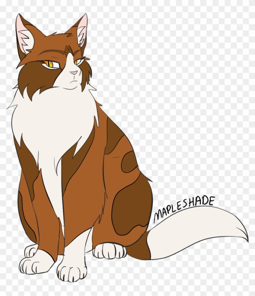 Mapleshade Maple Thunderclan Loner Rogue The Dark Forest Transparent PNG Clipart Image Download