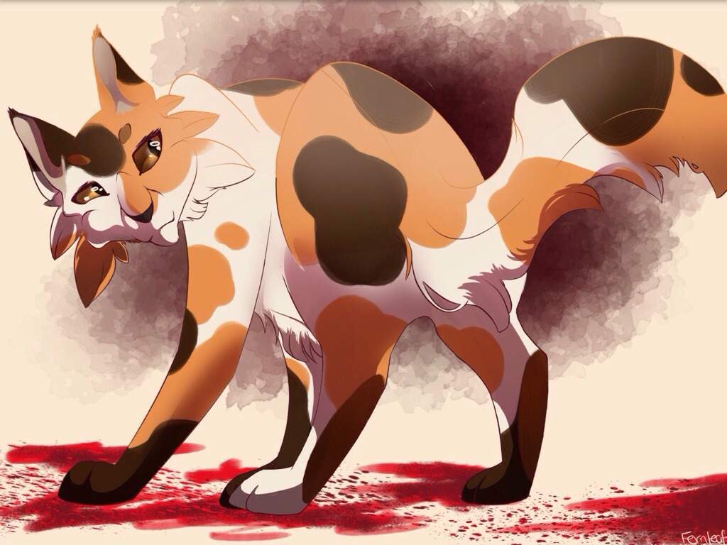 Mapleshade is bloody