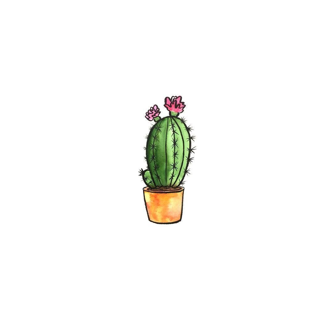 watercolor cactus Informations About Jennifer H on Instagram: “