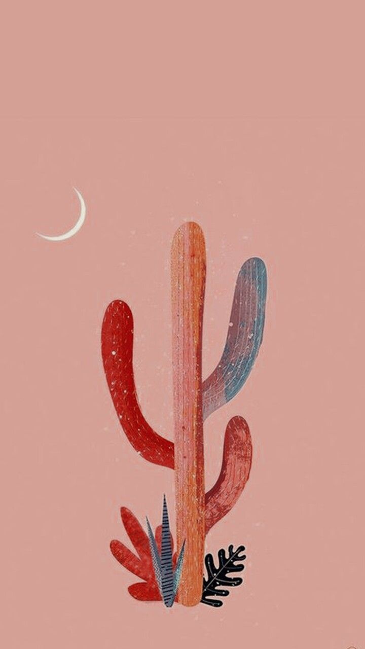 formato do cacto para porta colares de tricotin. iPhone wallpaper, Aesthetic iphone wallpaper, Cactus background