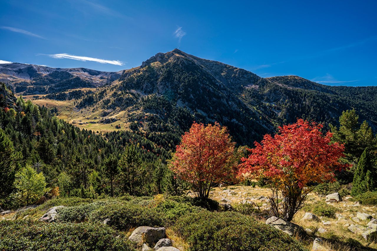 image Andorra Pyrenees Nature Autumn mountain Trees