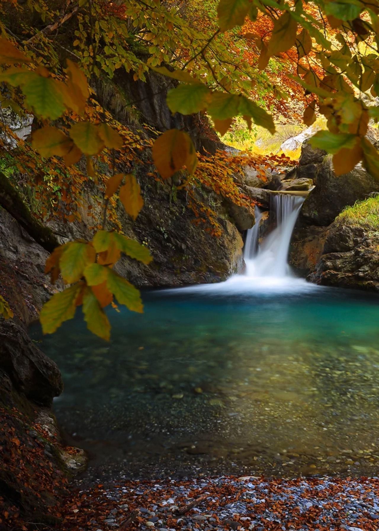 Autumn Melody”. Pyrenees.. Juan Pavon colour my world. Autumn scenery, Fall photography nature, Beautiful nature