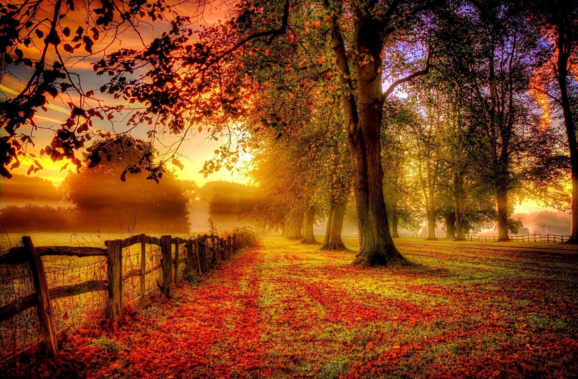 morning, Fence, Fall, Sunrise, Trees, Field, Clouds, Mist, Nature, Landscape, Red, Yellow, Green Wallpaper HD. Autumn landscape, Autumn scenery, Scenery