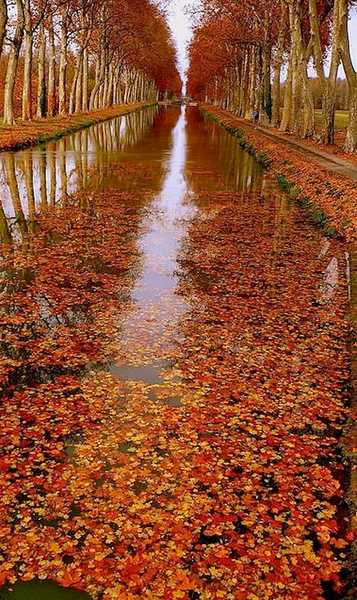 It's a beautiful world. Scenery, Nature, Beautiful nature