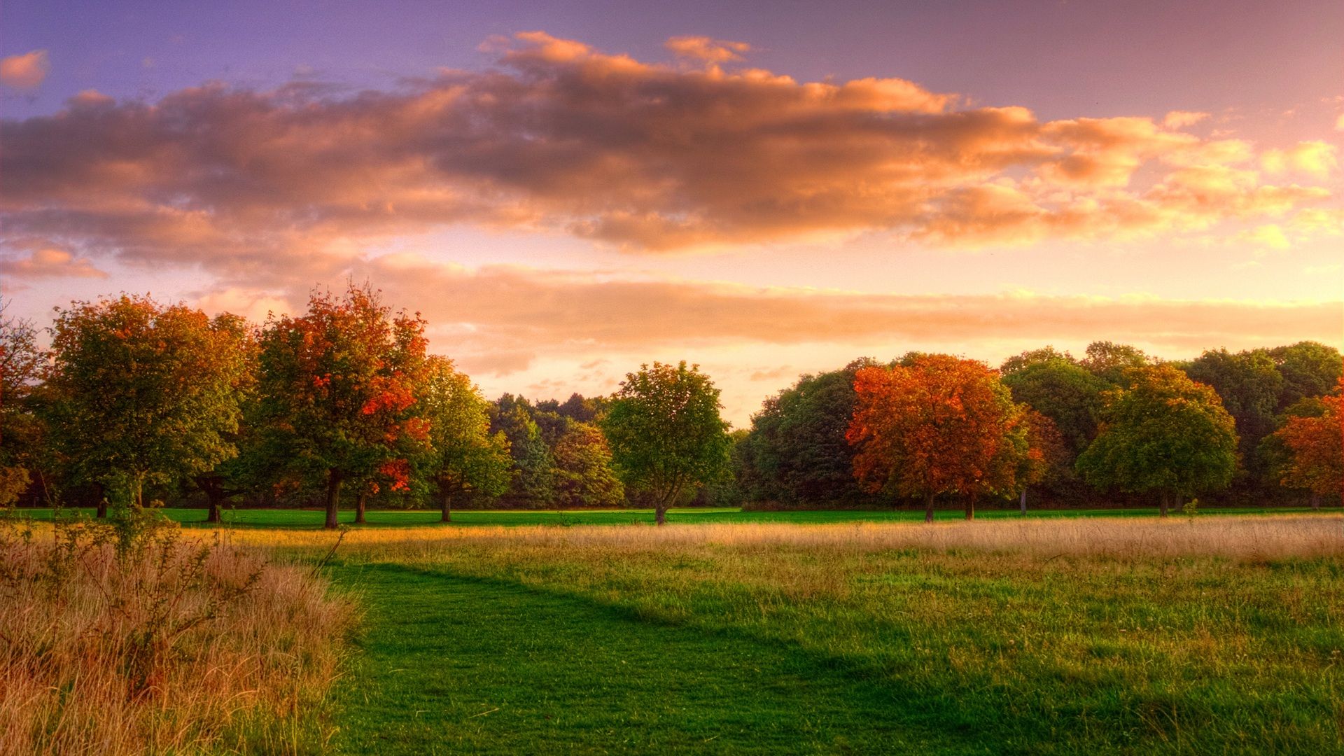 Wallpaper Natural landscape, autumn sunrise, forest sky clouds 2560x1600 HD Picture, Image
