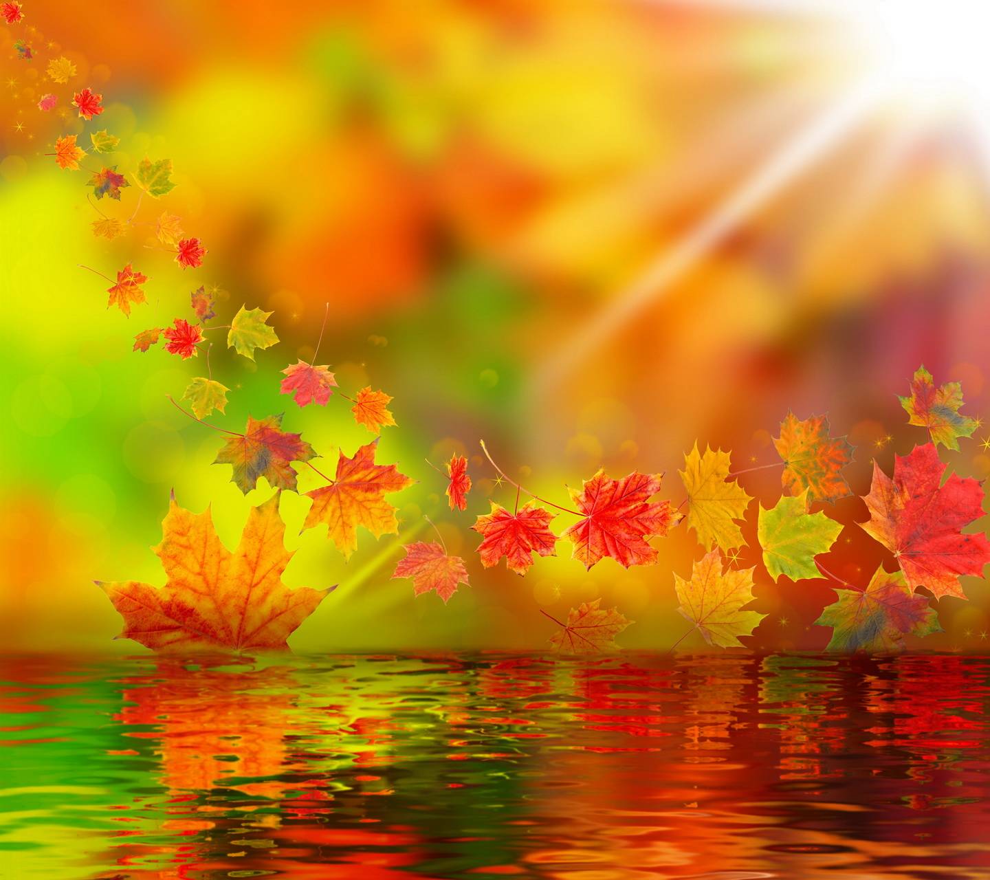 Autumn Scenery wallpaper