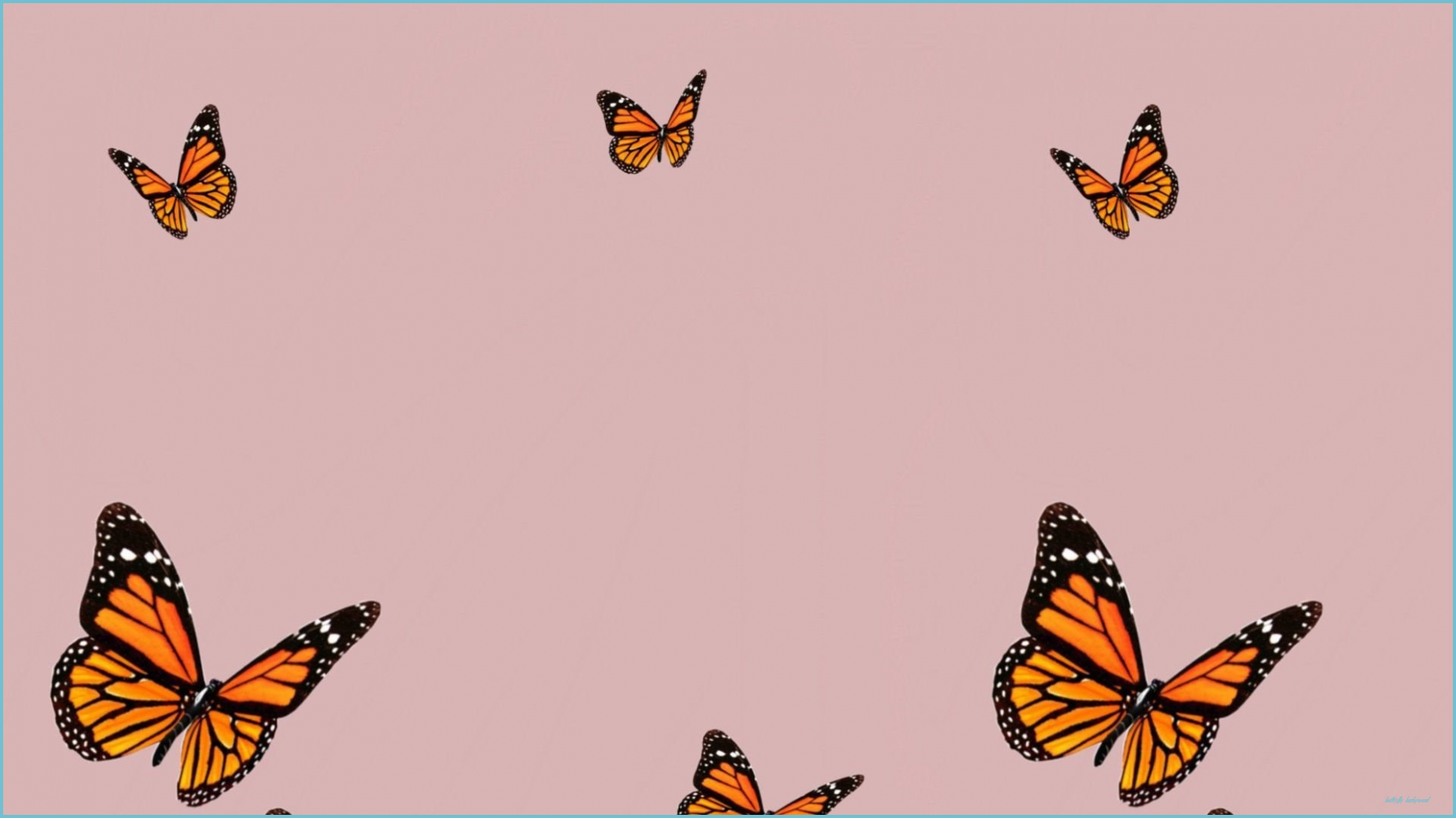 Butterfly on light peach background Wallpaper, iPhone
