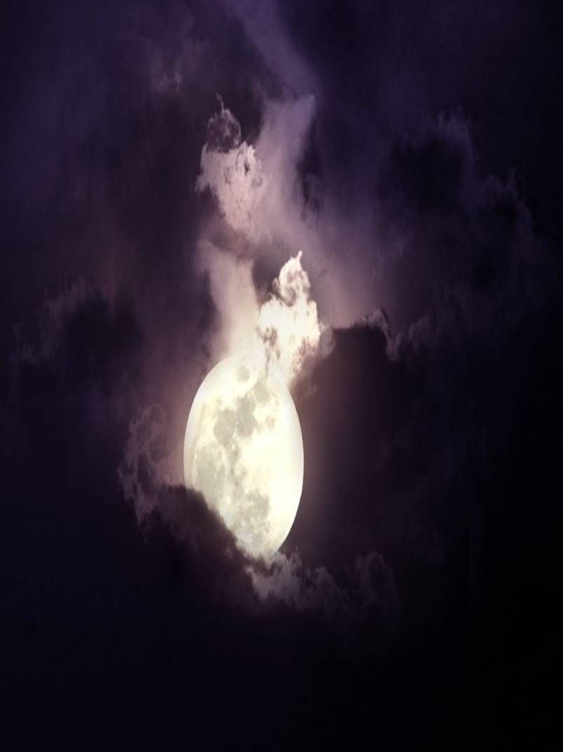 Mystic Moon wallpaper