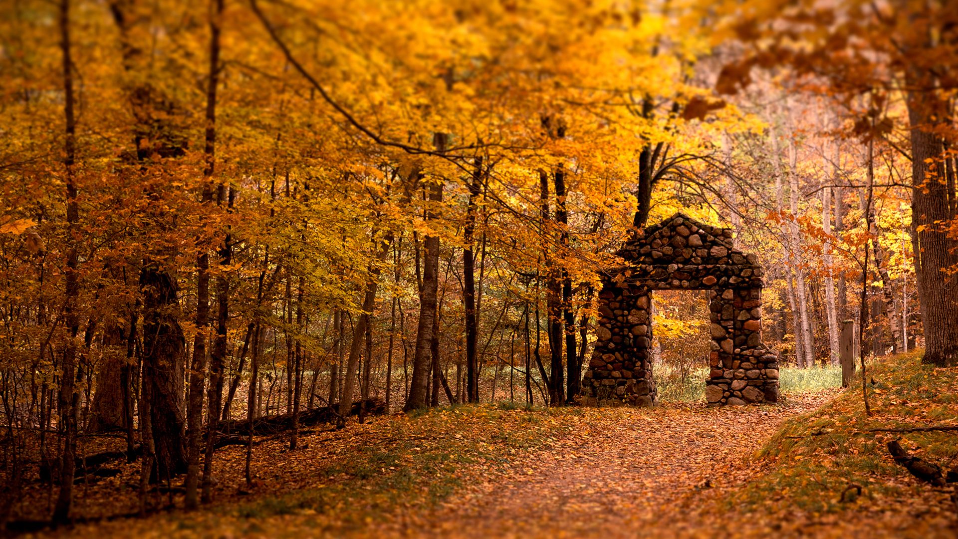 Autumn Scenery HD Wallpaperx1080