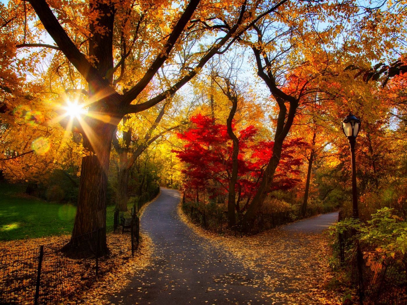 Wallpaper autumn, park, trees, light, morning, foliage. Autumn landscape, Nature wallpaper, Winter landscape