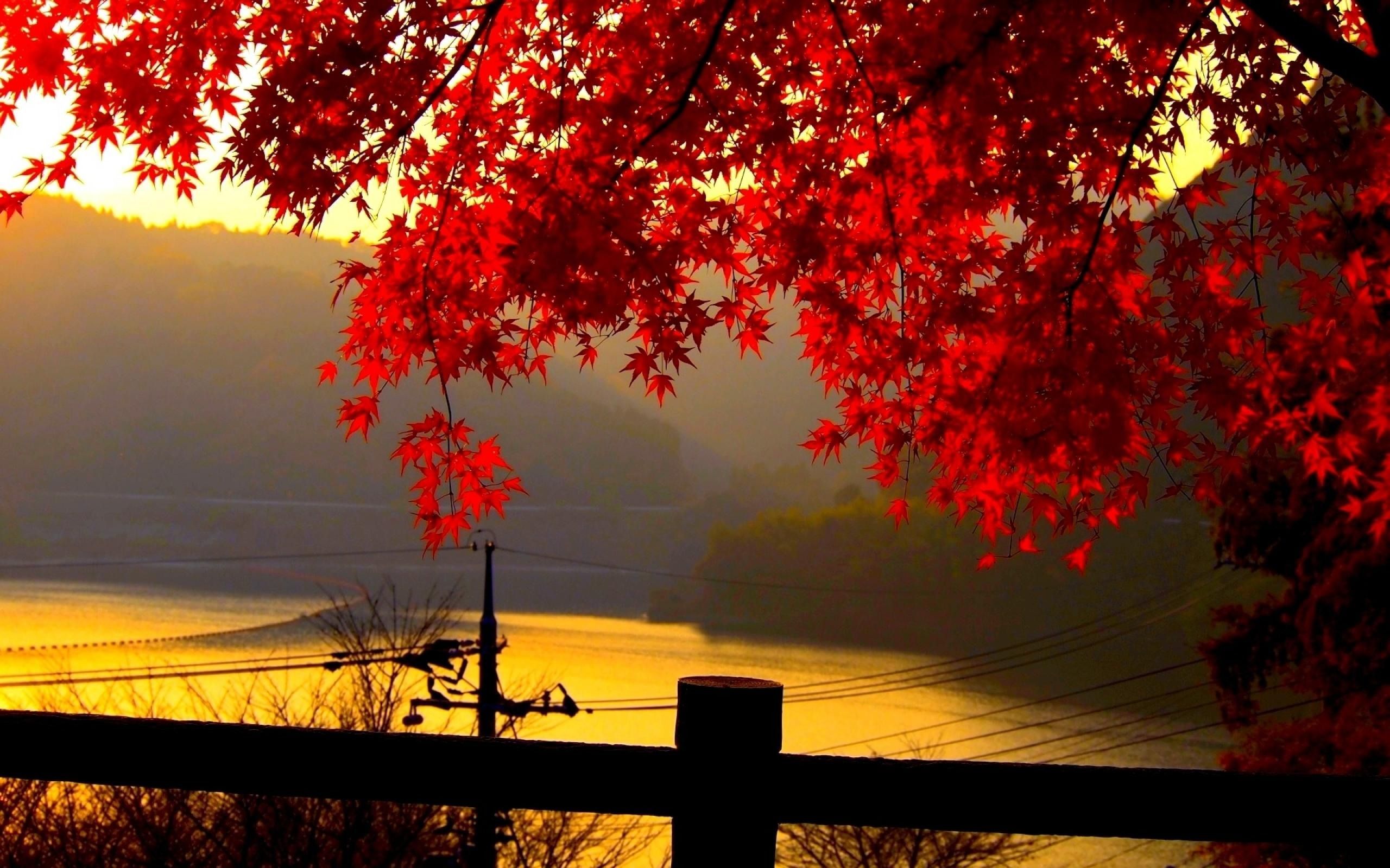 Morning Autumnal Landscape Wallpapers - Wallpaper Cave