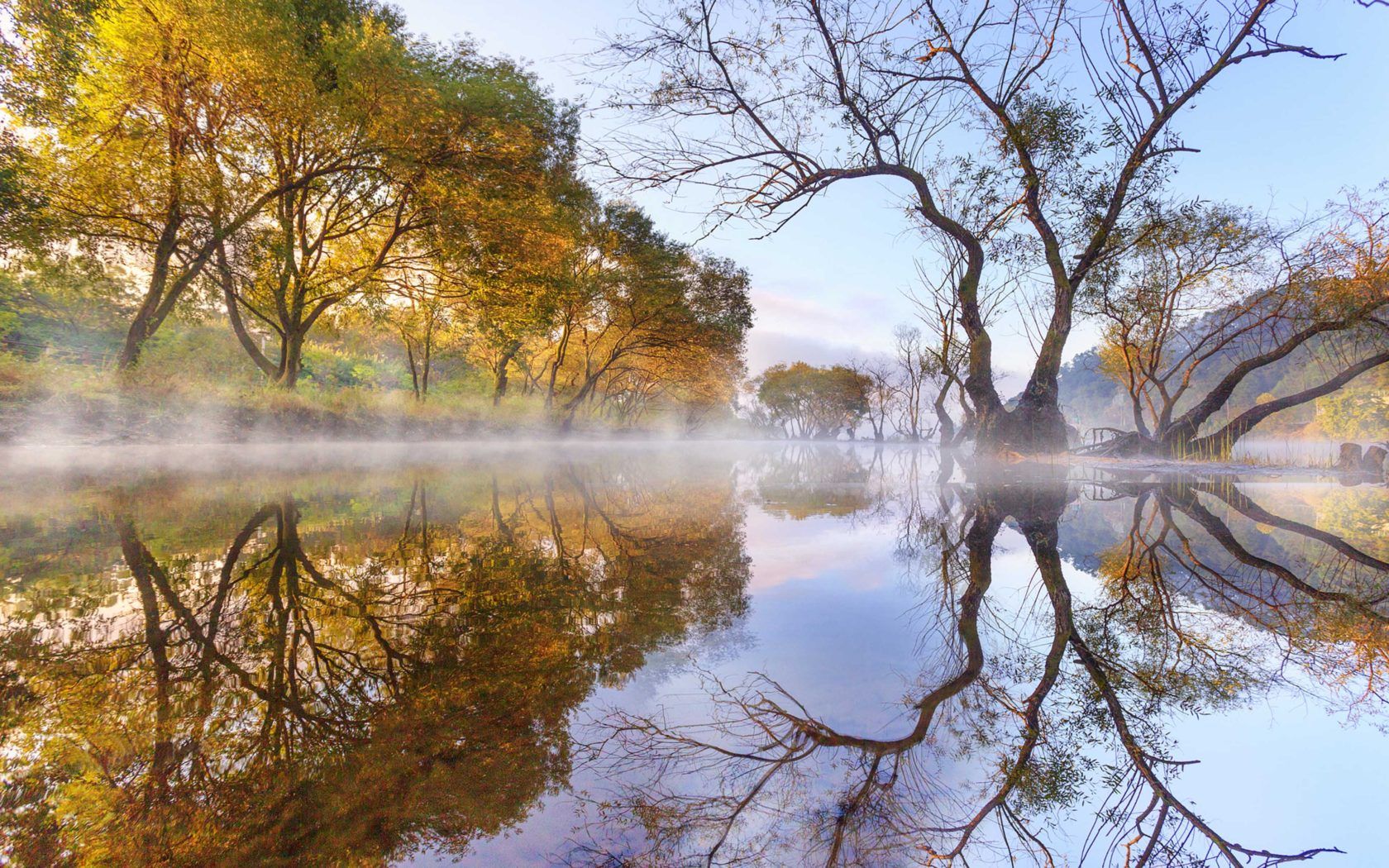 Autumn Morning Lake Evaporation Trees Willow Reflection In Water Landscapes Cheongwon Gun South Korea 4k Ultra HD Desktop Wallpaper For Computers, Wallpaper13.com