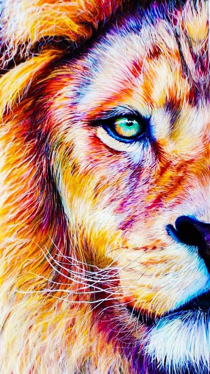 Compiled from the best lion wallpaper. Download now the image very simple and fast. Lion Wallpaper, Animal Wallpaper. Lion wallpaper, Lion painting, Lion image