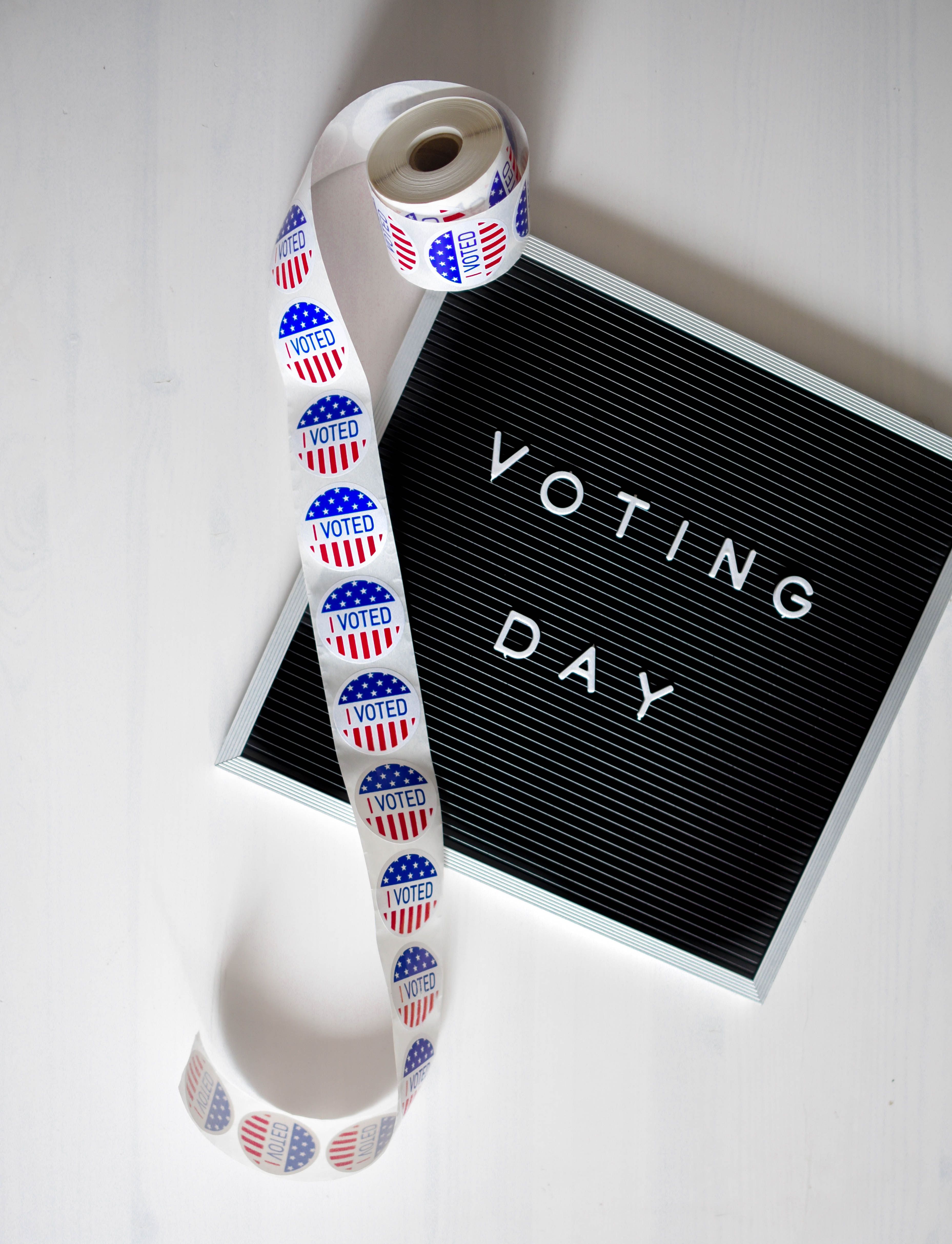 White and Grey Voting Day Sign · Free