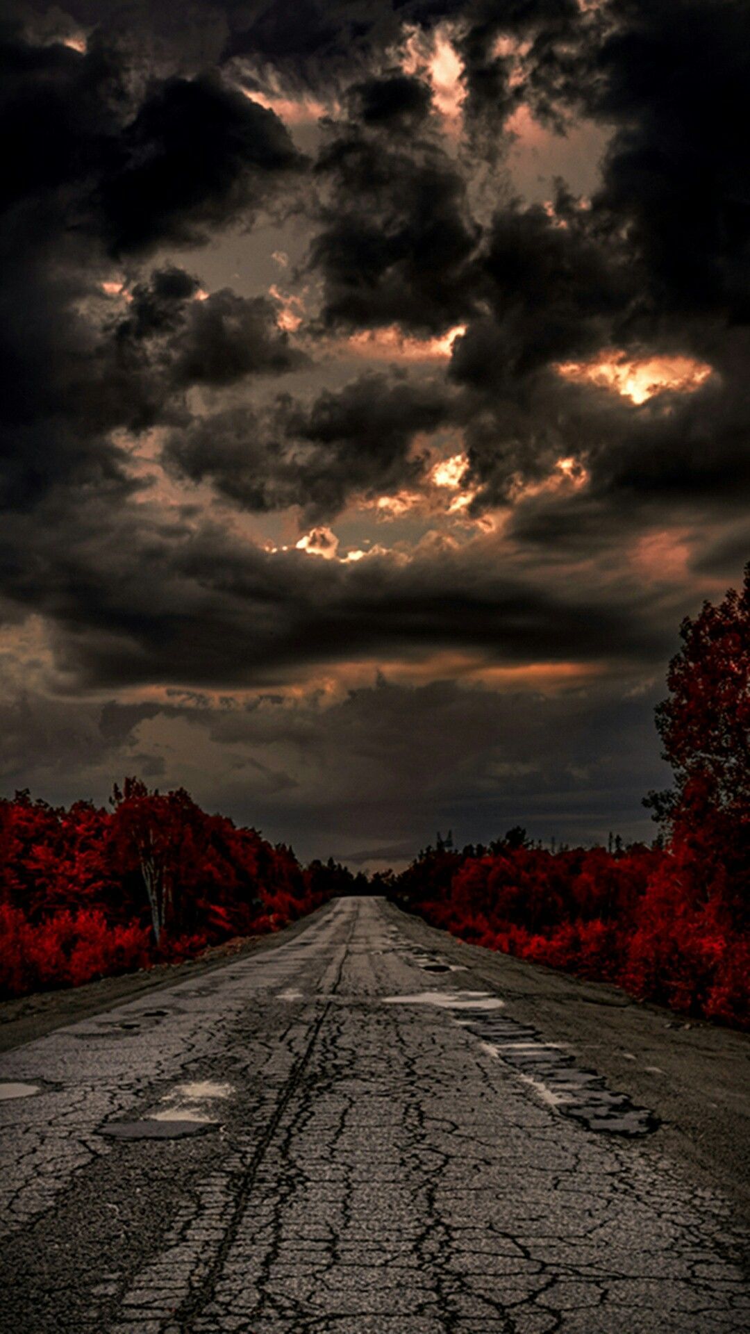 Nature's Weather and Wonder. Scary wallpaper, Dslr background image, Halloween wallpaper background