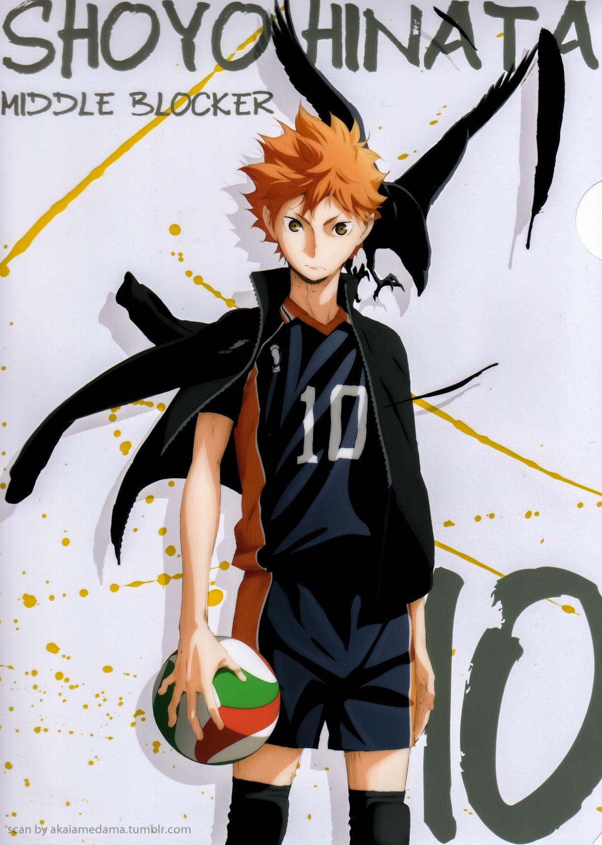 Shouyou Hinata Wallpaper 2020